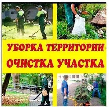 уборка територии: Уборка территории, Уборка двора и сада — 1