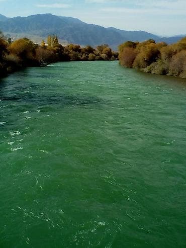 рыбалка форель: Тур однодневной рыбалки на горной реке - Локация: живописная горная — 1