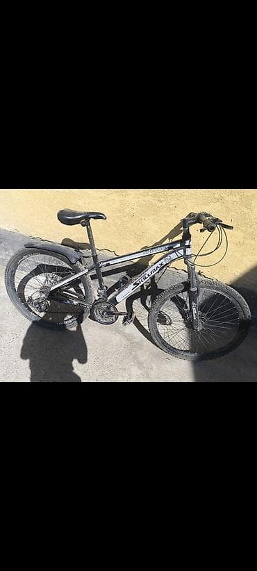 Горные велосипеды: Горный велосипед, Skillmax, Рама M (156 - 178 см), Сталь, Б/у — 3