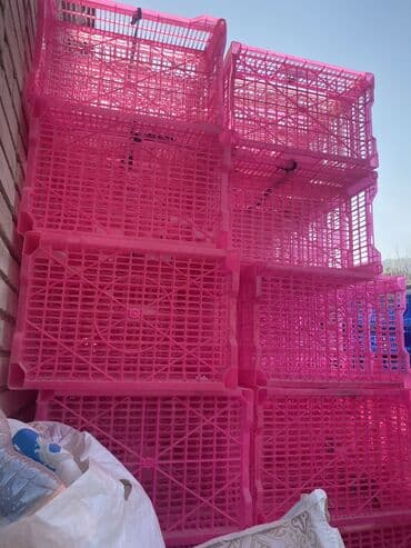 комнатные цветы бишкек: Ящик, Б/у — 3