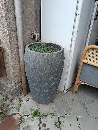 горшки кашпо: Уличные бетонированные кашпо/вазоны для растений, плюс растение к ним — 1