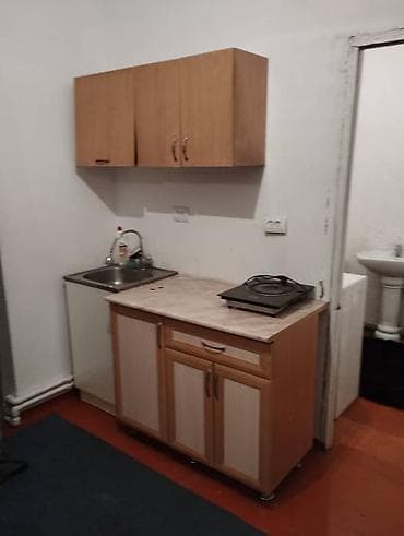 васильева: 1 комната, Риэлтор, Без подселения, С мебелью полностью — 4