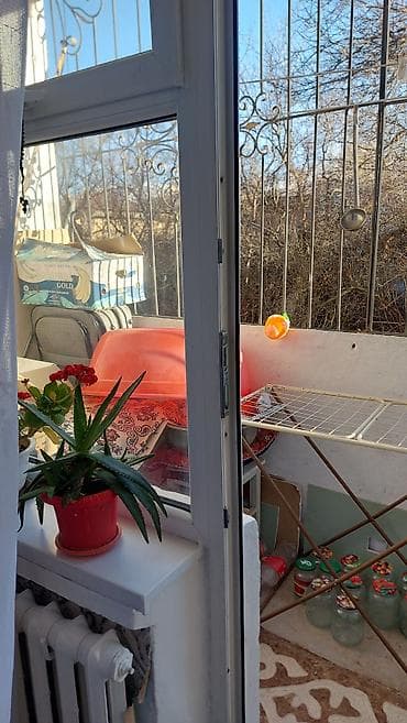 купить дом 2 этажный: 2 комнаты, 47 м², 104 серия, 2 этаж, Косметический ремонт — 6