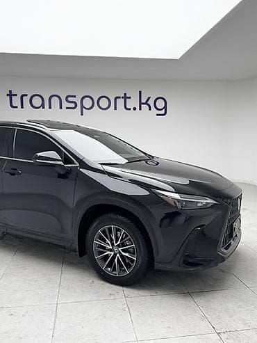audi a6 диски: Lexus NX: 2023 г., 2.4 л, Автомат, Бензин, Кроссовер — 9