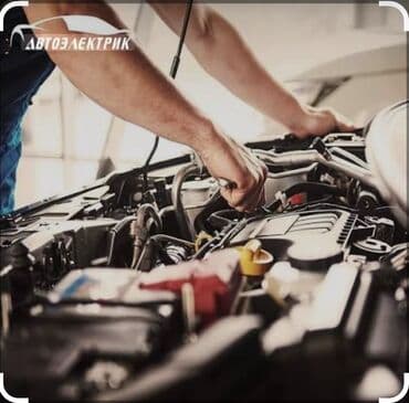 Туристические услуги: Автоэлектрик — 1