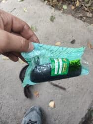 corolla runx: Задняя правая дверная ручка Дверная ручка Nissan Новый, Оригинал — 2