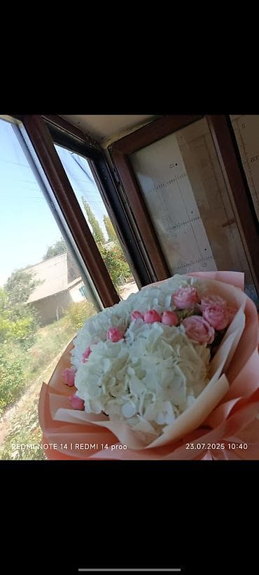 7 небо авангард: Дача. дом 🏡 Свежий воздух.красный книги есть — 1