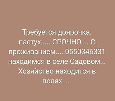 маляр авто бишкек: Вакансия: доярка, пастух. Срочно. Предоставляется проживание. Локация — 1