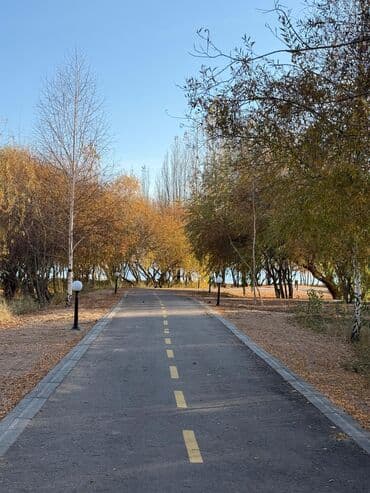 аренда частных домов: Коттедж, Коттедж в ЦО Chaika ЦО Chaika Resort, Сары-Ой, Детская площадка, Парковка, стоянка, Охраняемая территория — 14