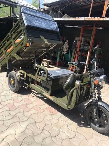 электро муравей в рассрочку бишкек: Трехколёсный, мощный грузовой электромотороллер. Грузоподьемность ?г — 2