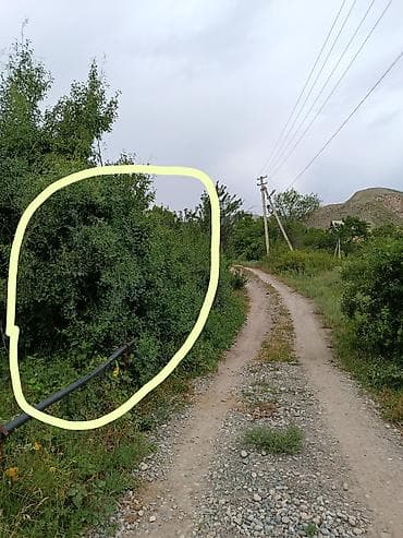 18: 6 соток, Для бизнеса, Красная книга — 4