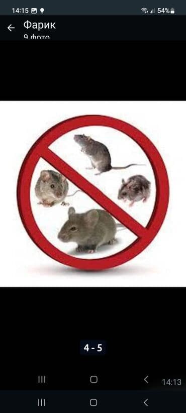 Бала бакчалар, бала багуучулар: Дезинфекциялоо, дезинсекциялоо, | Канталалар, Бүргөлөр, Таракандар, | Транспорт, Офистер, Батирлер — 4