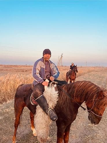 зоосалон грумира бишкек: Продаю — 2