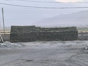 Грызуны: Сено люцерны в тюках - 3-й укос: мягкое и питательное - Сухое и — 4