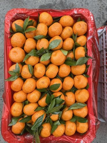 мөмө жемиш: Мандариндер Чекене, Өзү алып кетүү, Акылуу жеткирүү — 4