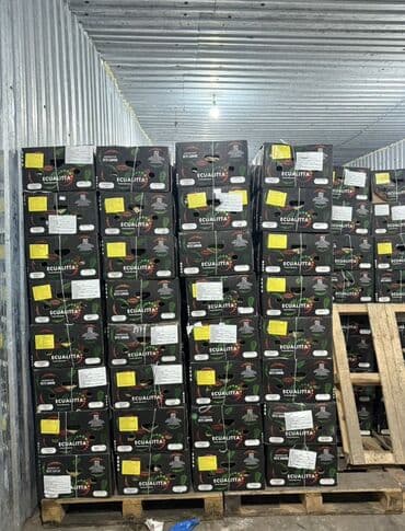 Инструменттер: Коондор Дүңүнөн — 2