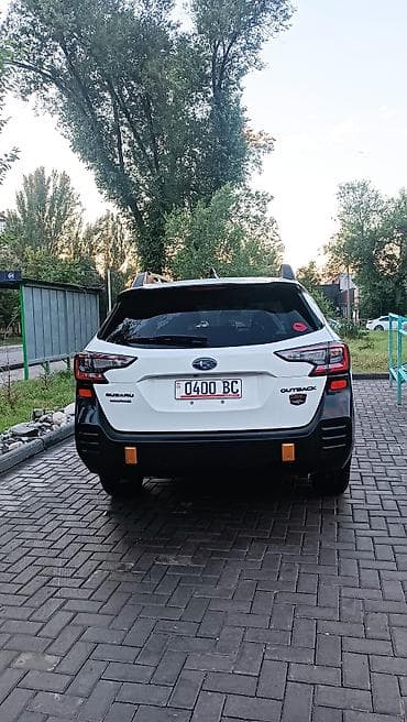 wildernes: Subaru Outback: 2021 г., Автомат, Универсал — 7