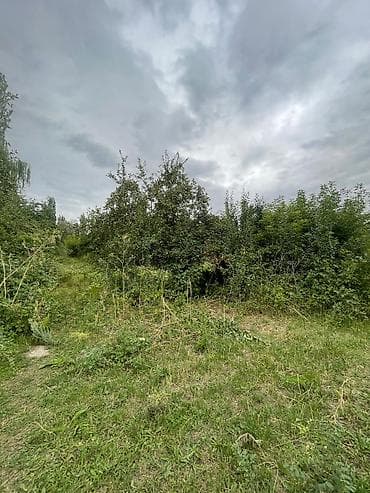 Недвижимость: 30 соток, Для сельского хозяйства — 10