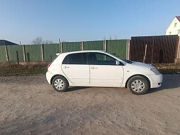 чернение шин: Toyota Allex: 2003 г., 1.5 л, Автомат, Бензин, Хэтчбэк — 4