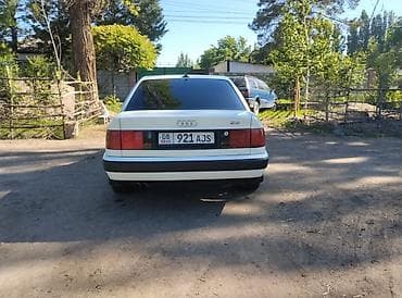 Audi 100: 1992 г., 2.8 л, Кол менен иштөөчү, Бензин, Седан — 6