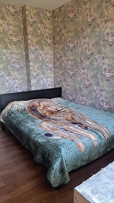 3 бөлмө, Менчик ээси, Жаныбарлары жок, 6 айдан баштап, Толугу менен эмереги бар — 5