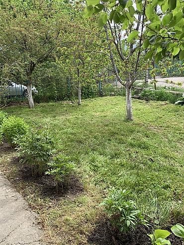 где купить мед: Продаётся дача в селе Арашан, дачный кооператив Электрик. Ориентир: с — 8