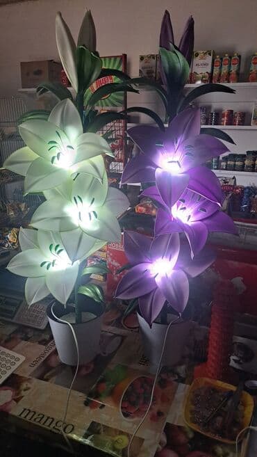 купить люцерну семена: Лилиялар — 11