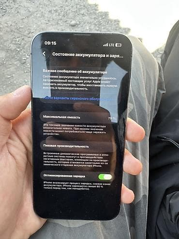 Техника жана электроника: IPhone 13 Pro, 256 ГБ, Графит, 79 % — 2