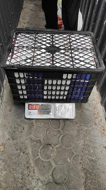 почтовый ящик бишкек: Пластиковый Ящик — 2