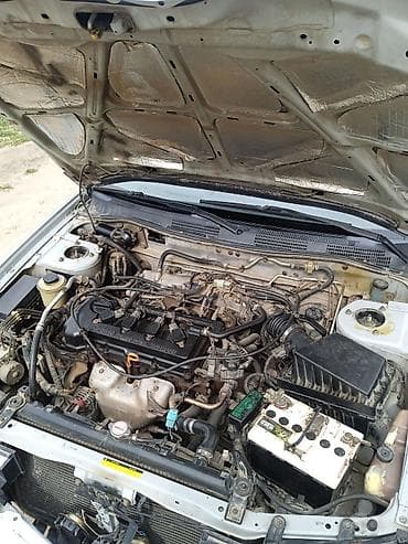 нитсан примера: Nissan Primera: 2002 г., 1.8 л, Механика, Бензин, Седан — 3