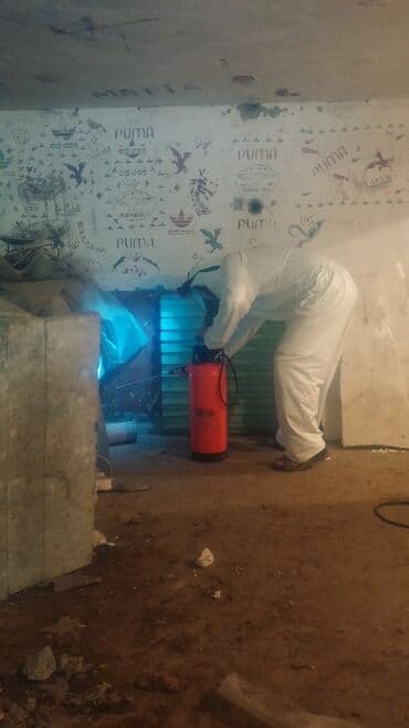 Кызматтар: Дезинфекциялоо, дезинсекциялоо, | Канталалар, Бүргөлөр, Таракандар, | Транспорт, Офистер, Батирлер — 6