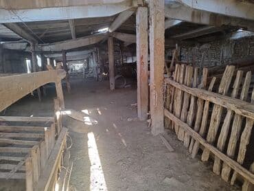 дом на иссык куле: 15 соток, Красная книга, Договор купли-продажи, Тех паспорт — 22