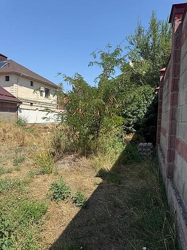 7 соток, Курулуш, Кызыл китеп — 2