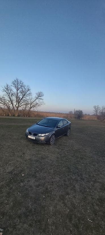 монитор лексус: Kia Cerato: 2010 г., 1.6 л, Ручные, Бензин, Седан — 8