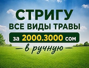 Клининговые услуги: Уборка территории, Стрижка газона — 1
