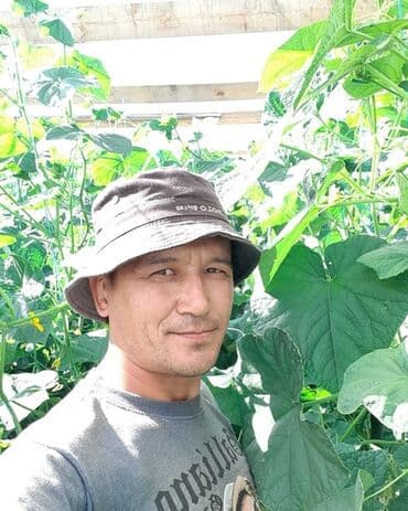 порошок из дождевых червей купить: Удобрение Самовывоз — 8