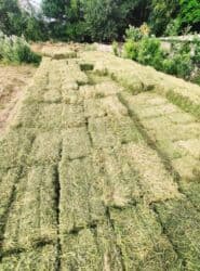 Пресс оптом