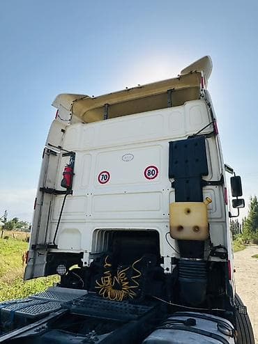atego 1223: Тягач, DAF, 2003 г., Без прицепа — 8