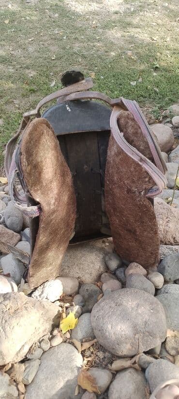 дог собака: Лошади, кони — 3