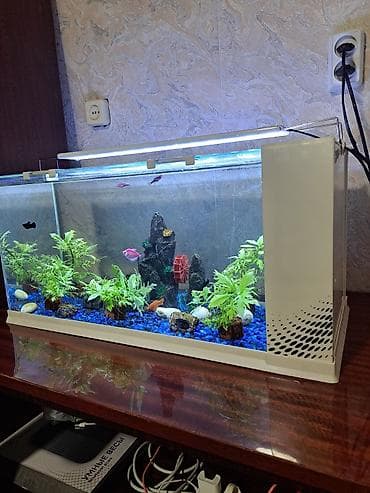 рыбки аквариум: Аквариумный комплект с верхней LED‑подсветкой и встроенной — 2