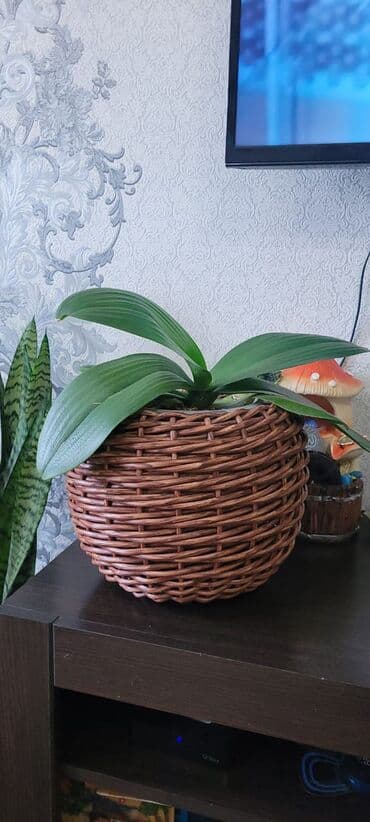 Кашпо, ратанг, ротанг, гаршок, декор, клумба, ваза, подарок, новый