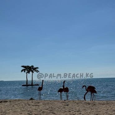 строящиеся дома в бишкеке: Батир, Палм Бич, Иссык-Куль | Palm Beach, Чок-Тал, Балдар аянтчасы, Коргоодогу аймак, Унаа токтотуучу жай, унаа туруучу жай — 9
