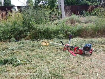 цена искусственного газона для футбольного поля: Аренда Газонокосилка Триммер гозонокосилка бензокоса электрический — 1