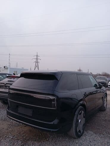 li 9 max: Zeekr 9X: 2 л | 2024 г. Бус — 3