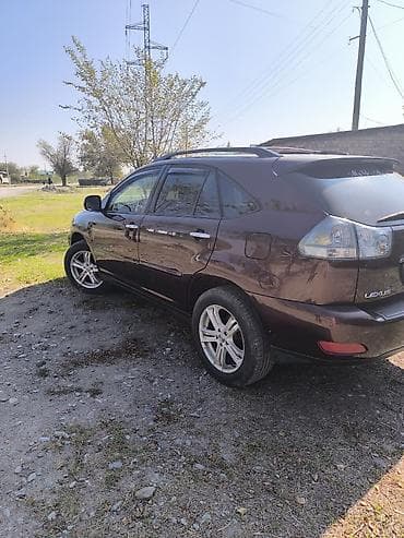 меняю на рекс: Lexus RX: 2008 г., Автомат, Бензин — 2
