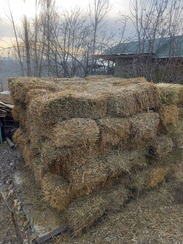 дойный корова: Сено в тюках - Смесь луговых трав: злаковые и разнотравье. - Плотная — 4