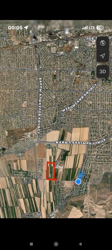 срочно продаю в связи с переездом: 500 соток, Для сельского хозяйства — 1