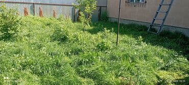 работы охраны: Уборка территории — 6