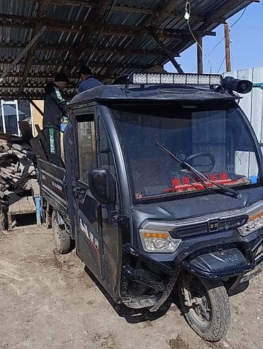 Муравей очень зареженый тюнигь быстрый грузо подемность 1 тон