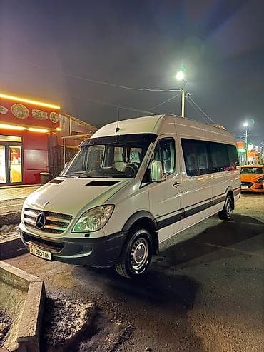 cosmo dom: Пункт назначения: Все направления, Количество мест: 18, Лицензия №: 16155AB — 3